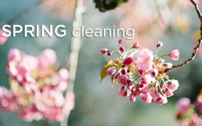 Spring Cleaning, the Ayurvedic Way