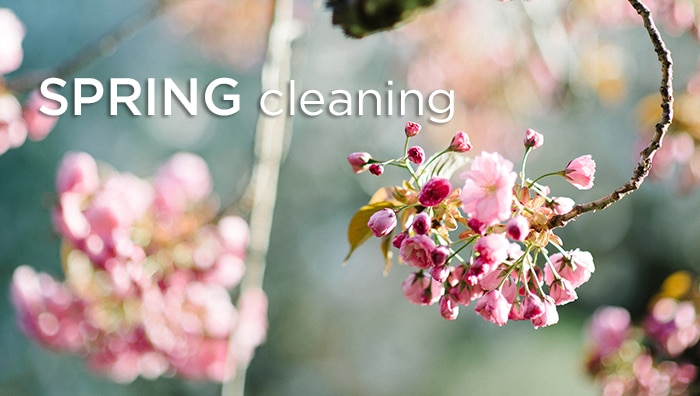 Spring Cleaning, the Ayurvedic Way