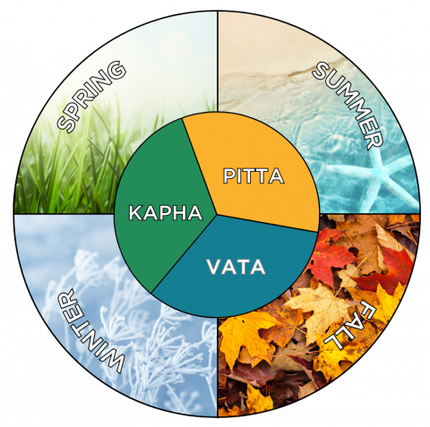 Spring Ayurveda & Yoga Cleanse | Inlet Yoga